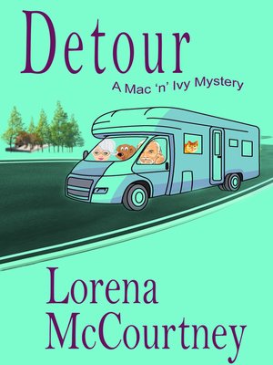 cover image of Detour